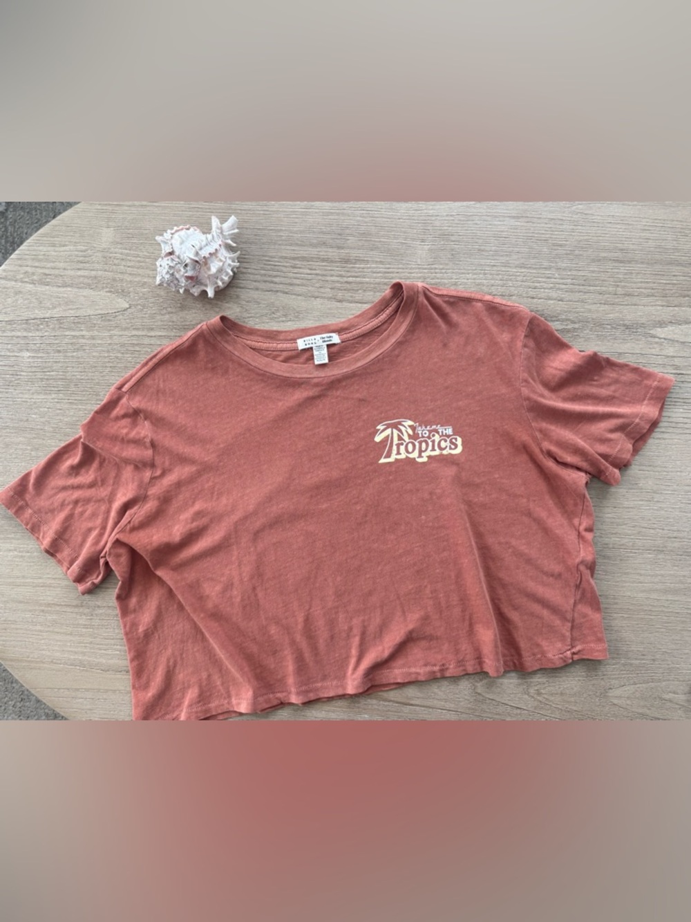 Billabong Rusty Rose Cropped Tee with Tropics Graphic